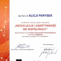 Powiększ obraz: certificate 10