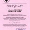 Powiększ obraz: certificate 13
