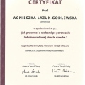 Powiększ obraz: certificate 8