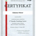 Powiększ obraz: certificate 1