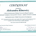Powiększ obraz: certificate 3