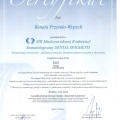 Powiększ obraz: certificate 46