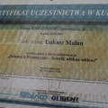 Powiększ obraz: certificate 33