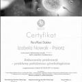 Powiększ obraz: certificate 9
