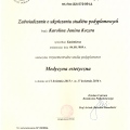 Powiększ obraz: certificate 3