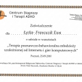 Powiększ obraz: certificate 3