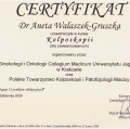 Powiększ obraz: certificate 23