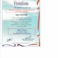 Powiększ obraz: certificate 1