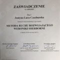 Powiększ obraz: certificate 4