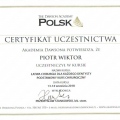 Powiększ obraz: certificate 10