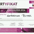 Powiększ obraz: certificate 7