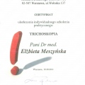 Powiększ obraz: certificate 9
