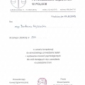 Powiększ obraz: certificate 4