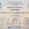 Powiększ obraz: certificate 11