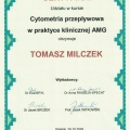 Powiększ obraz: certificate 10
