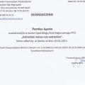 Powiększ obraz: certificate 11