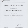 Powiększ obraz: certificate 2