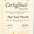 Powiększ obraz: certificate 8