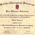 Powiększ obraz: certificate 1