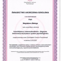 Powiększ obraz: certificate 5