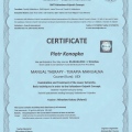 Powiększ obraz: certificate 9