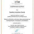 Powiększ obraz: certificate 1