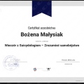 Powiększ obraz: certificate 1