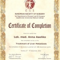 Powiększ obraz: certificate 26