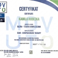 Powiększ obraz: certificate 19