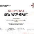 Powiększ obraz: certificate 18