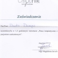 Powiększ obraz: certificate 5
