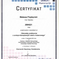 Powiększ obraz: certificate 15