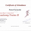 Powiększ obraz: certificate 3