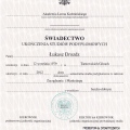 Powiększ obraz: certificate 4
