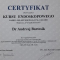 Powiększ obraz: certificate 4
