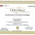 Powiększ obraz: certificate 3
