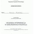 Powiększ obraz: certificate 18