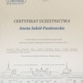 Powiększ obraz: certificate 3