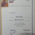 Powiększ obraz: certificate 4
