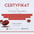 Powiększ obraz: certificate 28