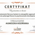 Powiększ obraz: certificate 4