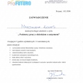 Powiększ obraz: certificate 25