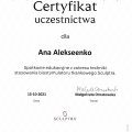 Powiększ obraz: certificate 7