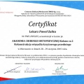Powiększ obraz: certificate 3