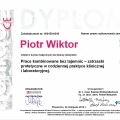 Powiększ obraz: certificate 8