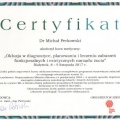 Powiększ obraz: certificate 11