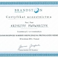 Powiększ obraz: certificate 2