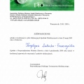Powiększ obraz: certificate 2