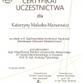 Powiększ obraz: certificate 1