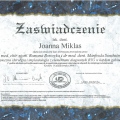 Powiększ obraz: certificate 11